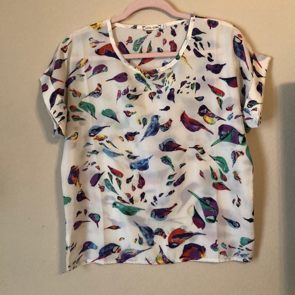 Multicolored Bird Tank